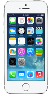 iPhone 5s iPhone 5s - Accessibility features