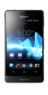 Sony Xperia Go - Accessibility features