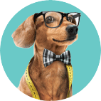 Fido Check-In