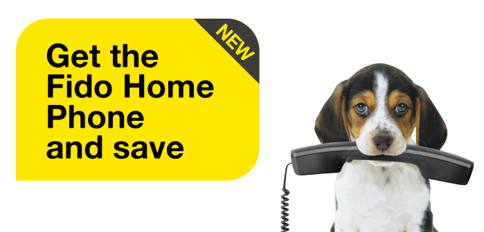 fido voicemail number