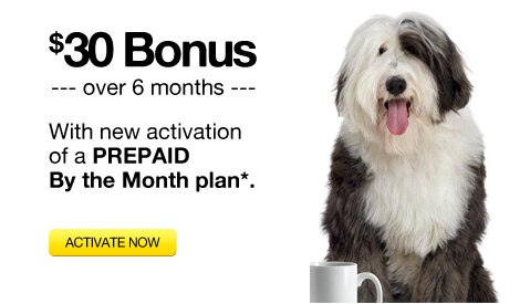 $30 Bonus --- over 6 months ---