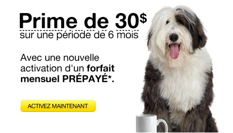 Prime de 30$ --- Sur une période de 6 mois ---