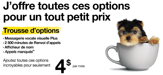 Je vous en offre beaucoup à petit prix - Trousse d'options 4 $