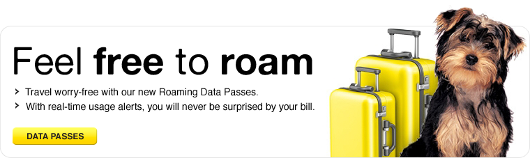 Feel Free to Roam - Roaming data passes