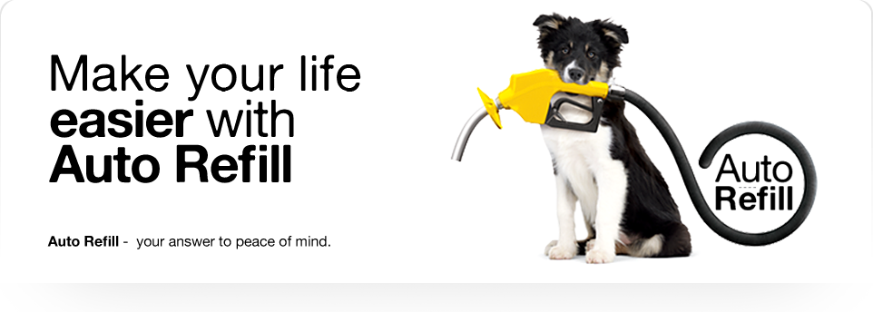 Auto Refill Prepaid service made easier! Auto Refill Prepaid service made easier!