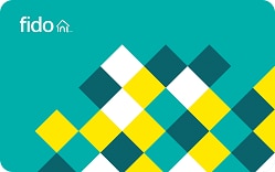 do spayed cats go in heat