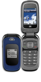 miniature bull terrier price