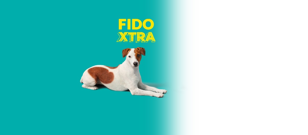 fido newfoundland