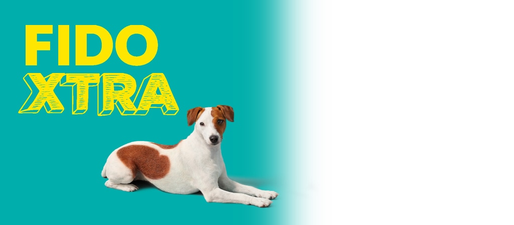 Fido sales phone finder